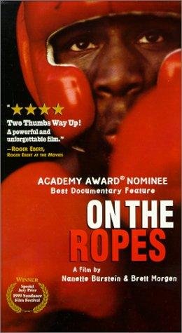 Фото - На веревках: 260x475 / 31 Кб