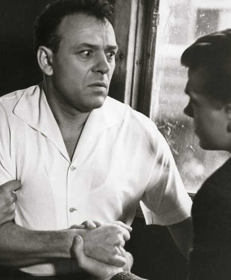 Фото - Развязка: 450x545 / 40 Кб