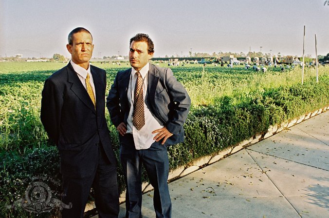 Фото - Выступающие За: 676x447 / 98 Кб