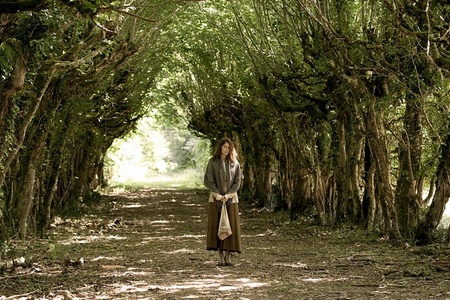 Фото - Кошмар за стеной: 450x300 / 100.07 Кб