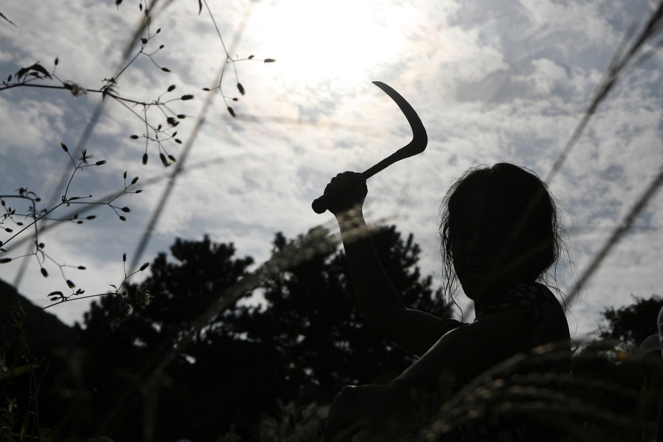 Фото - Осатаневшая: 1365x910 / 119 Кб