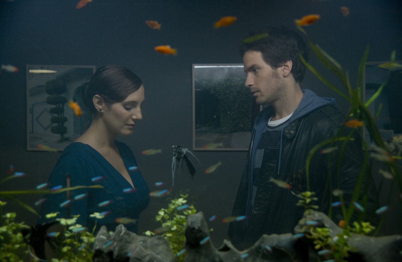 Фото - Жизнь рыб: 1334x869 / 127 Кб