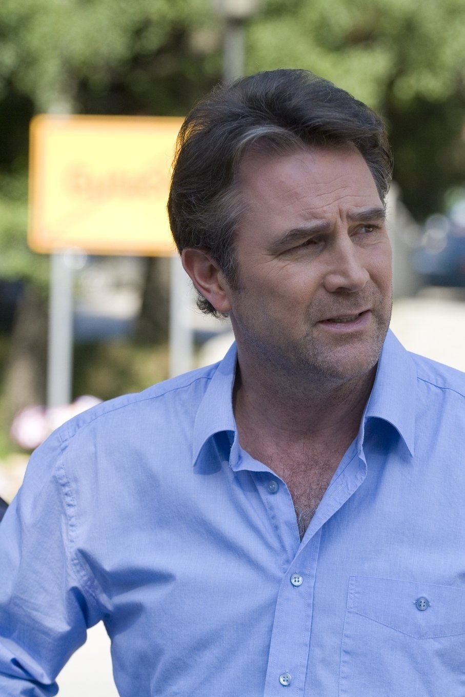 Фото - Black Forest: 907x1360 / 164 Кб