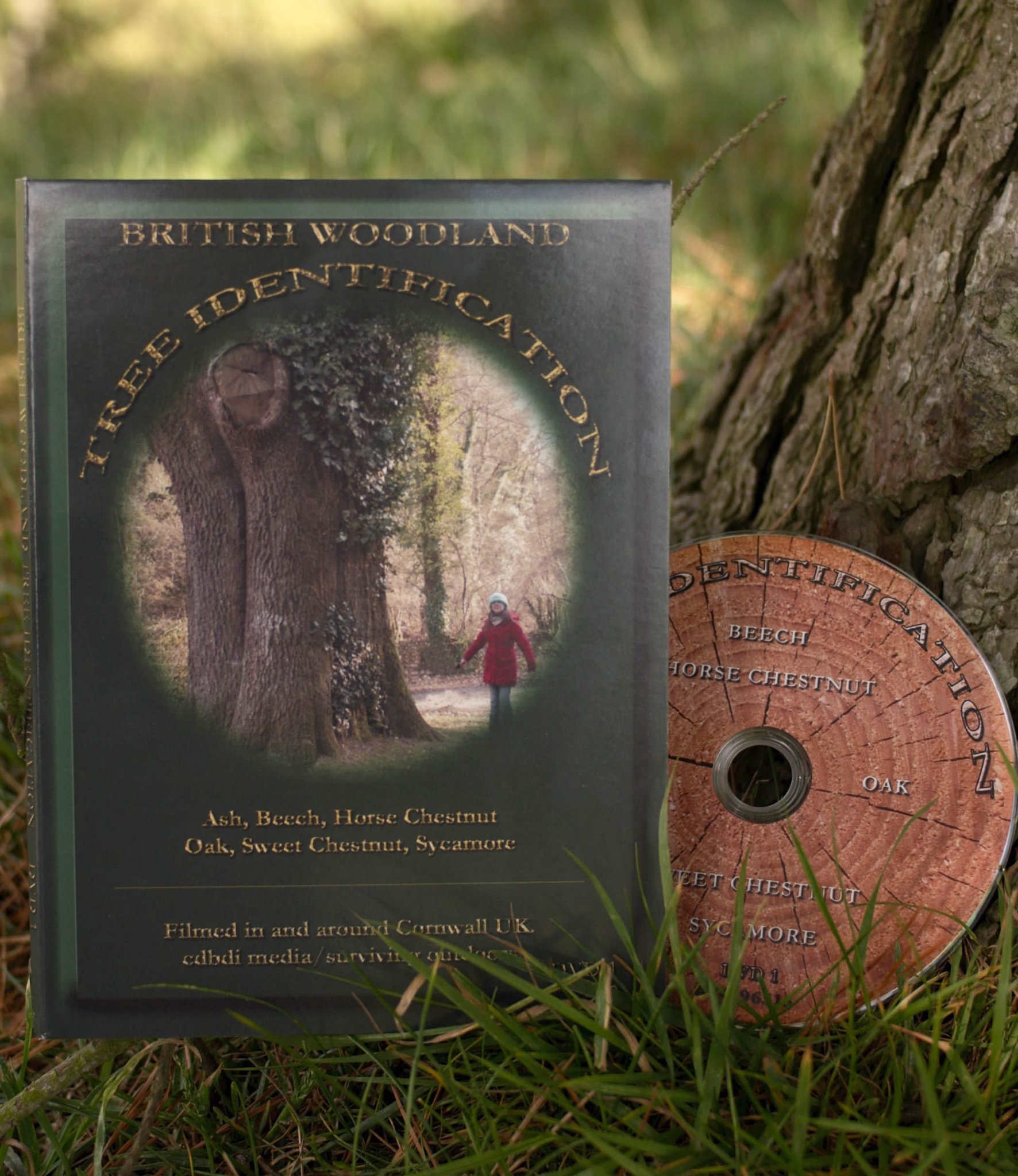 Фото - British Woodland Tree Identification: 1772x2048 / 474 Кб