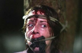 Фото - Изоляция: 312x201 / 11 Кб