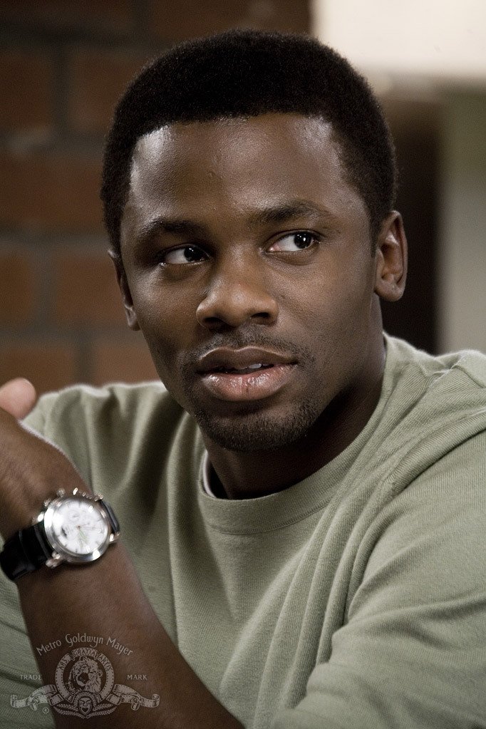 Фото - Львы для ягнят: 682x1023 / 148 Кб