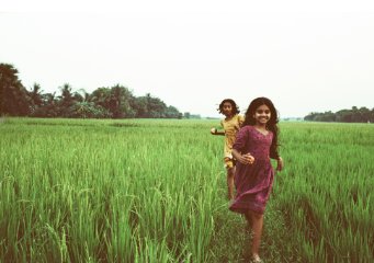 Фото - Кирпичный переулок: 341x240 / 19 Кб