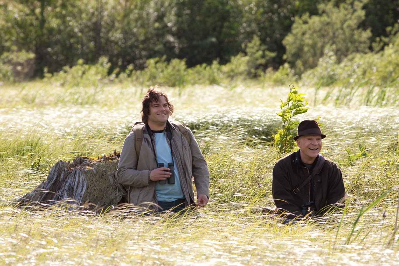 Фото - Большой год: 1366x911 / 302 Кб