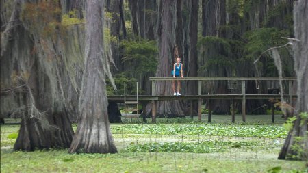 Фото - Boggy Creek: 450x253 / 32 Кб