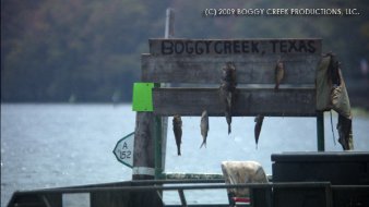 Фото - Boggy Creek: 338x190 / 13 Кб