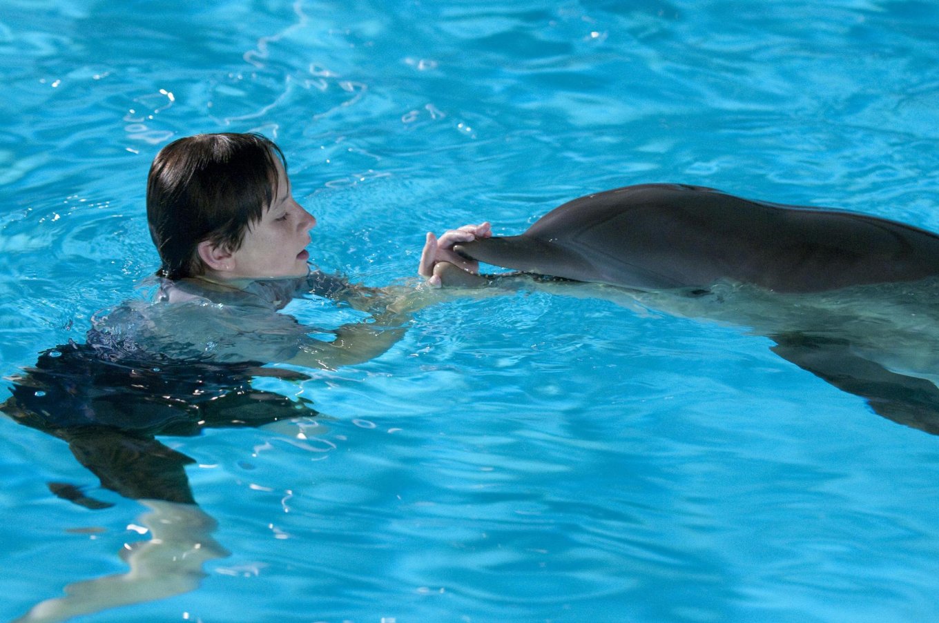 Фото - История дельфина: 1360x903 / 213 Кб