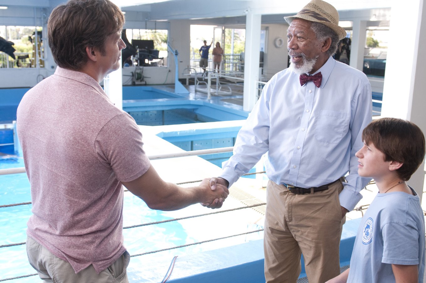 Фото - История дельфина: 1360x903 / 201 Кб