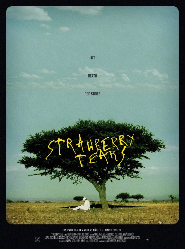 Фото - Strawberry Tears: 640x864 / 113 Кб