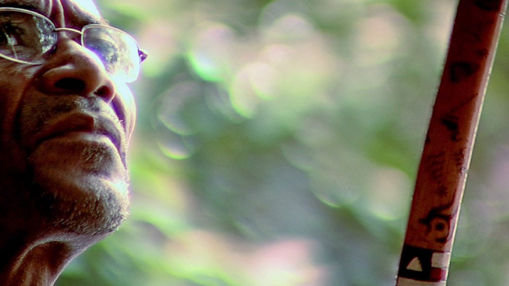 Фото - Capoeira: Fly Away Beetle: 1030x579 / 77 Кб