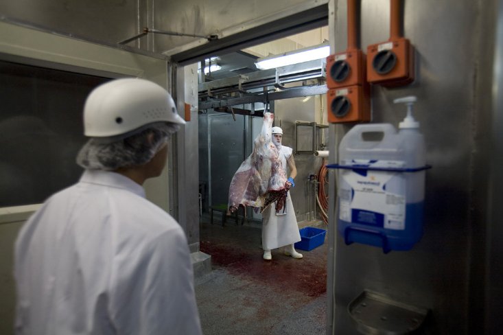 Фото - Meathead: 733x488 / 50 Кб