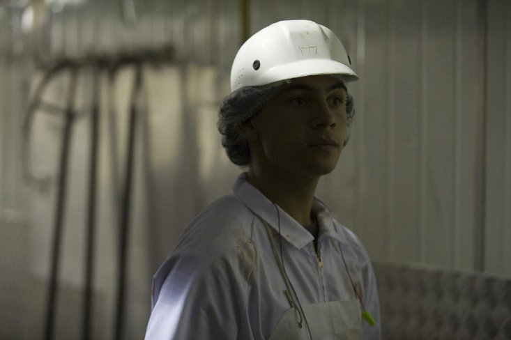 Фото - Meathead: 733x488 / 33 Кб