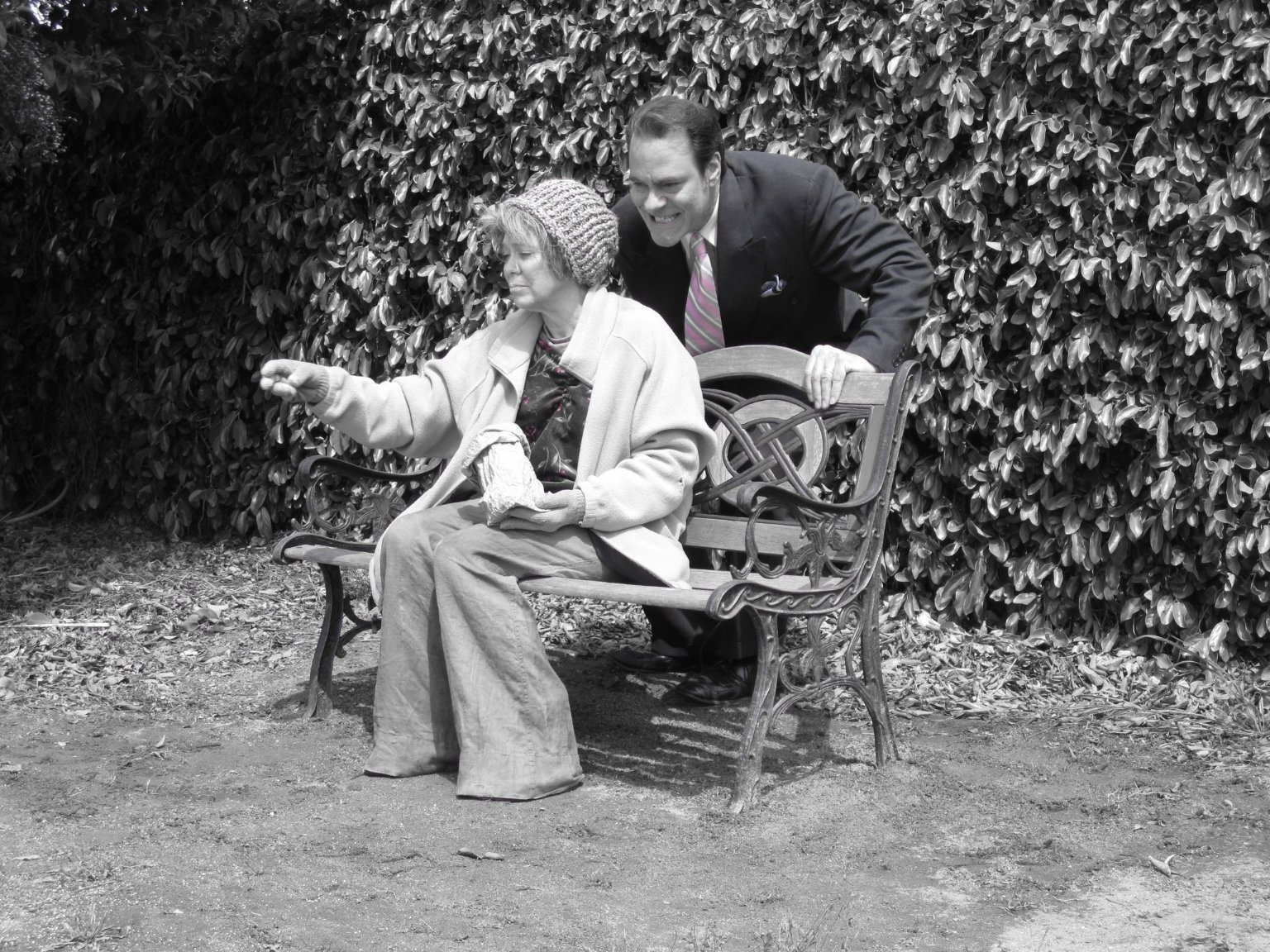 Фото - A Dove Among Pigeons: 1536x1152 / 498 Кб