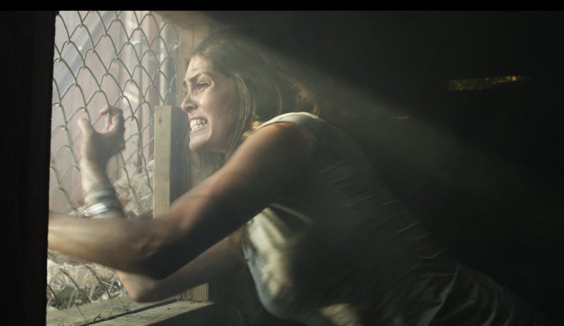 Фото - The Red House: 792x458 / 36 Кб