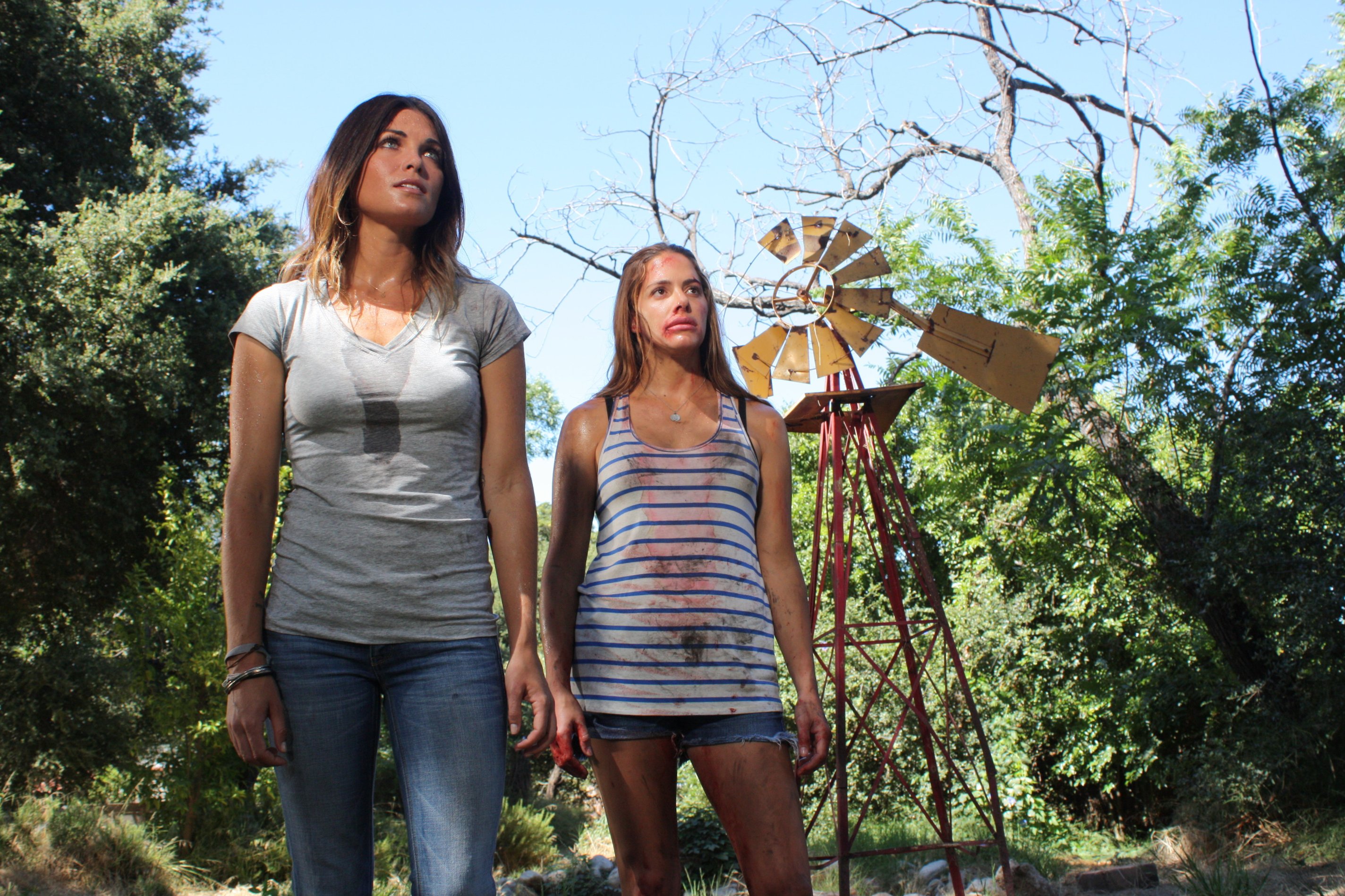 Фото - The Red House: 2848x1899 / 1023 Кб