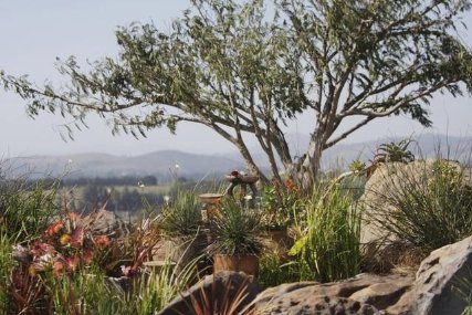 Фото - Холостяк: 427x285 / 46 Кб