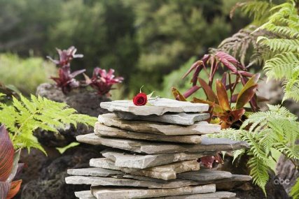 Фото - Холостяк: 427x285 / 37 Кб