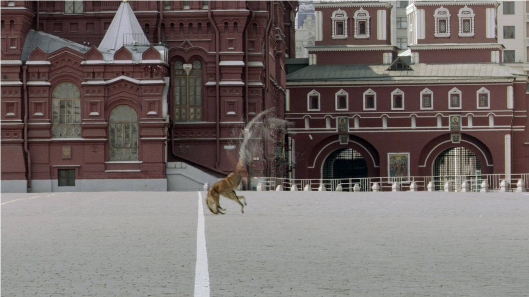 Фото - Фантом: 1082x609 / 116 Кб