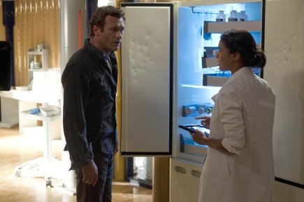 Фото - Терра Нова: 435x290 / 24 Кб