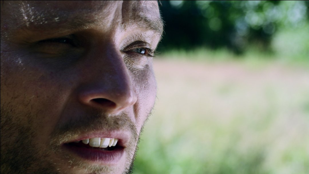 Фото - The Planting: 1080x608 / 68 Кб