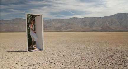 Фото - Moonflower: 433x234 / 27 Кб