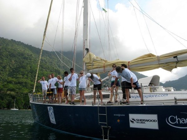 Фото - Plasticized: 600x450 / 53 Кб