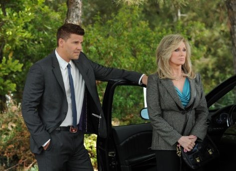 Фото - Кости: 473x343 / 38 Кб