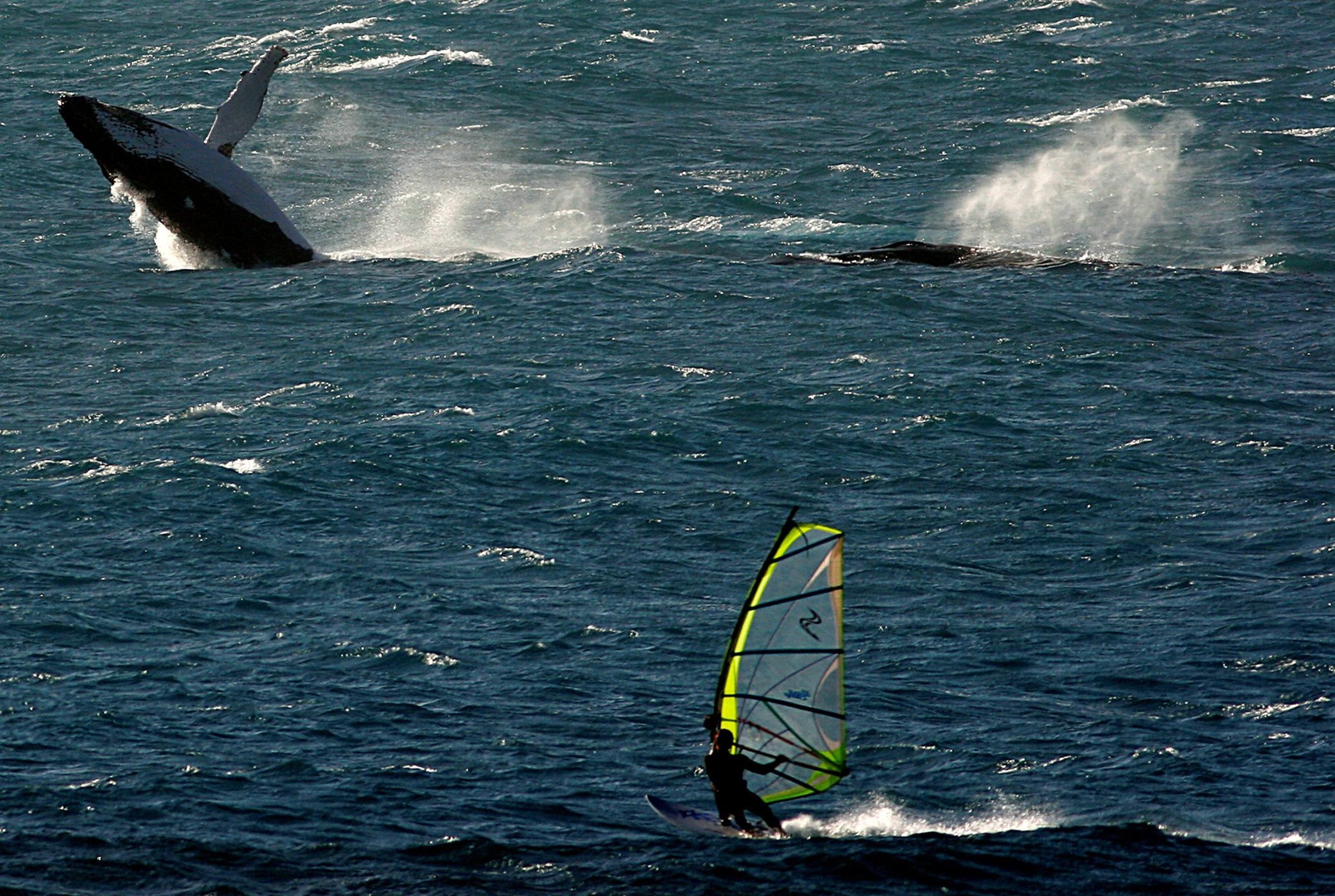 Фото - Last Paradise: 2079x1396 / 652 Кб