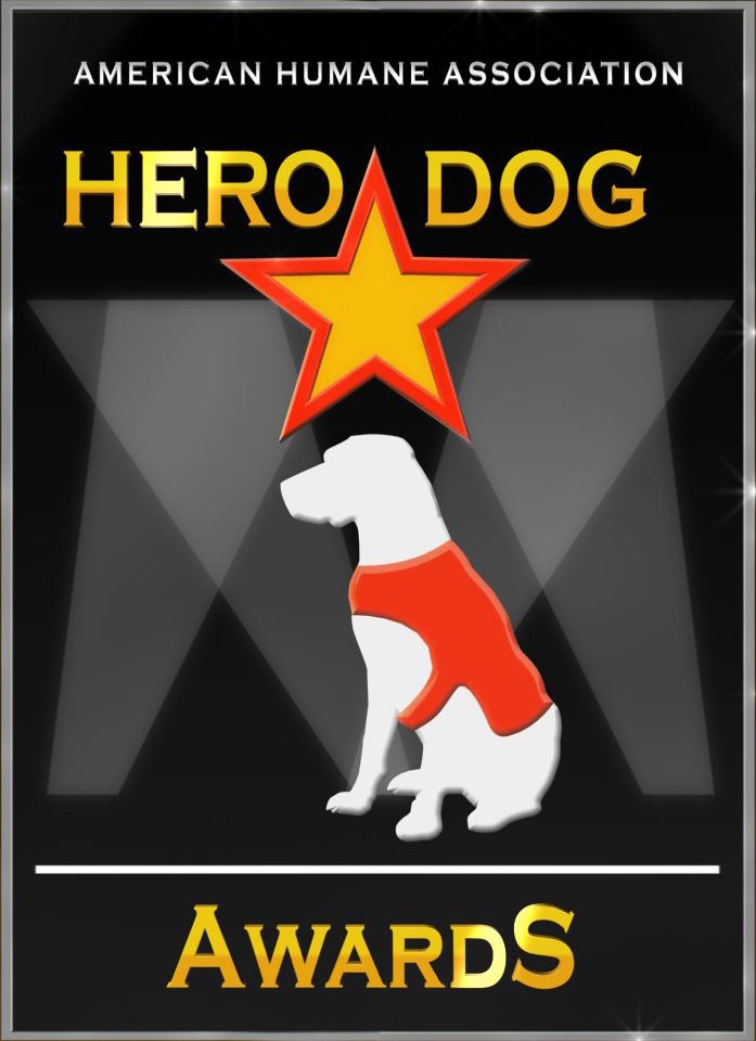 Фото - Hero Dog Awards: 697x960 / 69 Кб