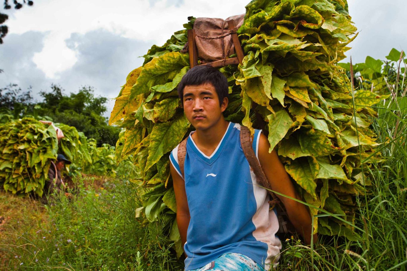 Фото - China Heavyweight: 1365x910 / 286 Кб