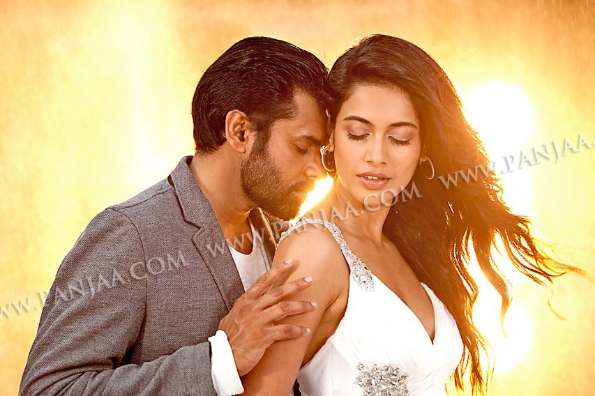 Фото - Panjaa: 853x568 / 103 Кб