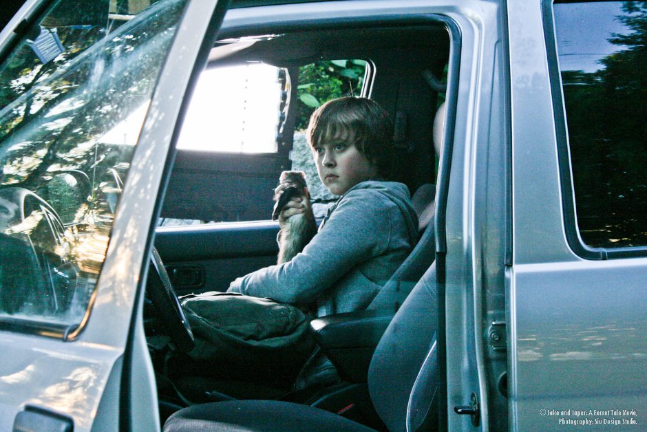 Фото - Jake & Jasper: A Ferret Tale: 940x628 / 141 Кб