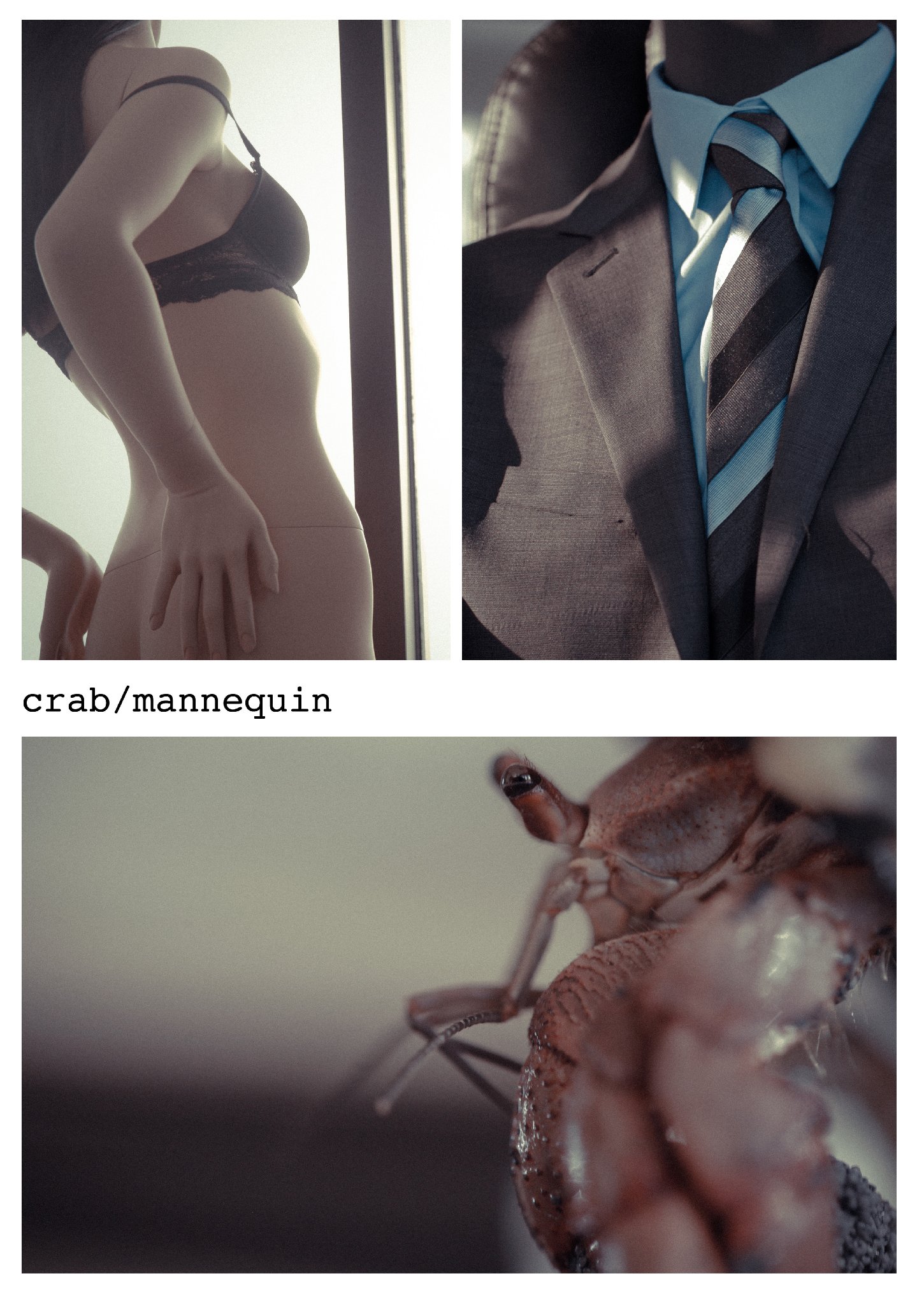Фото - crab/mannequin: 1450x2048 / 421 Кб