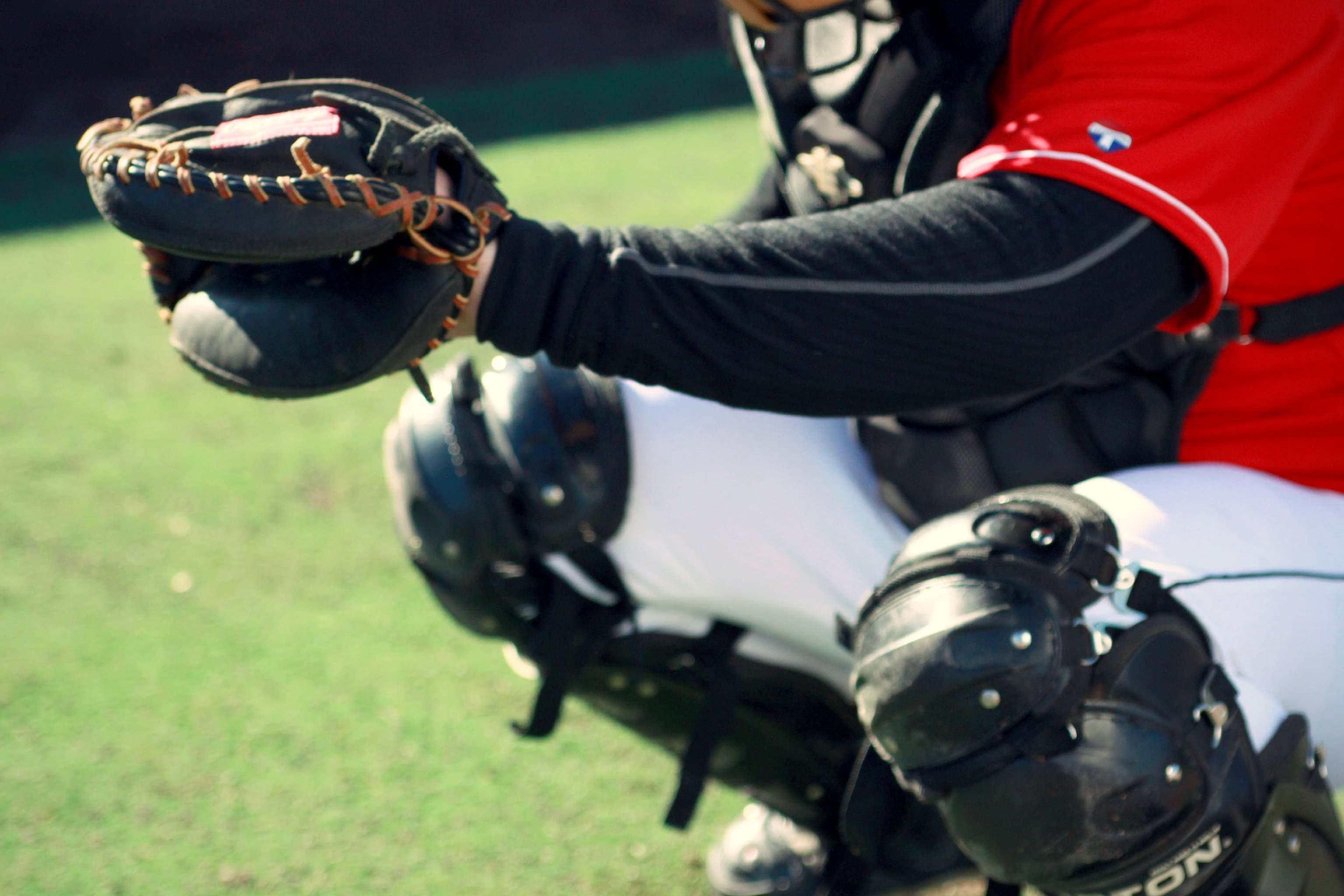 Фото - Call to the Pen: 3072x2048 / 561 Кб