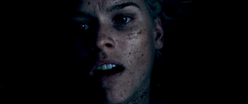 Фото - Ворон: 800x335 / 18 Кб