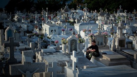 Фото - Dead Season: 450x253 / 36 Кб