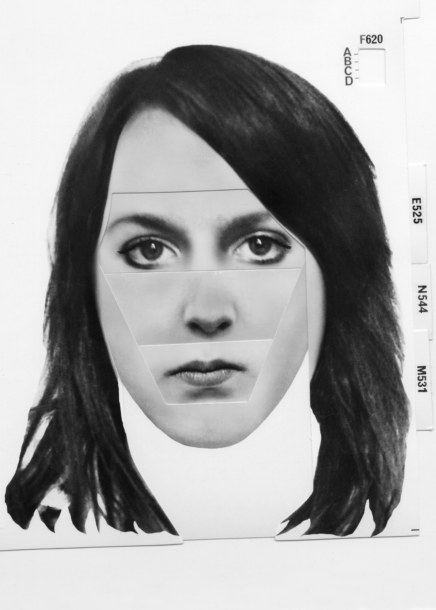 Фото - Stealing Elvis: 1463x2048 / 296 Кб