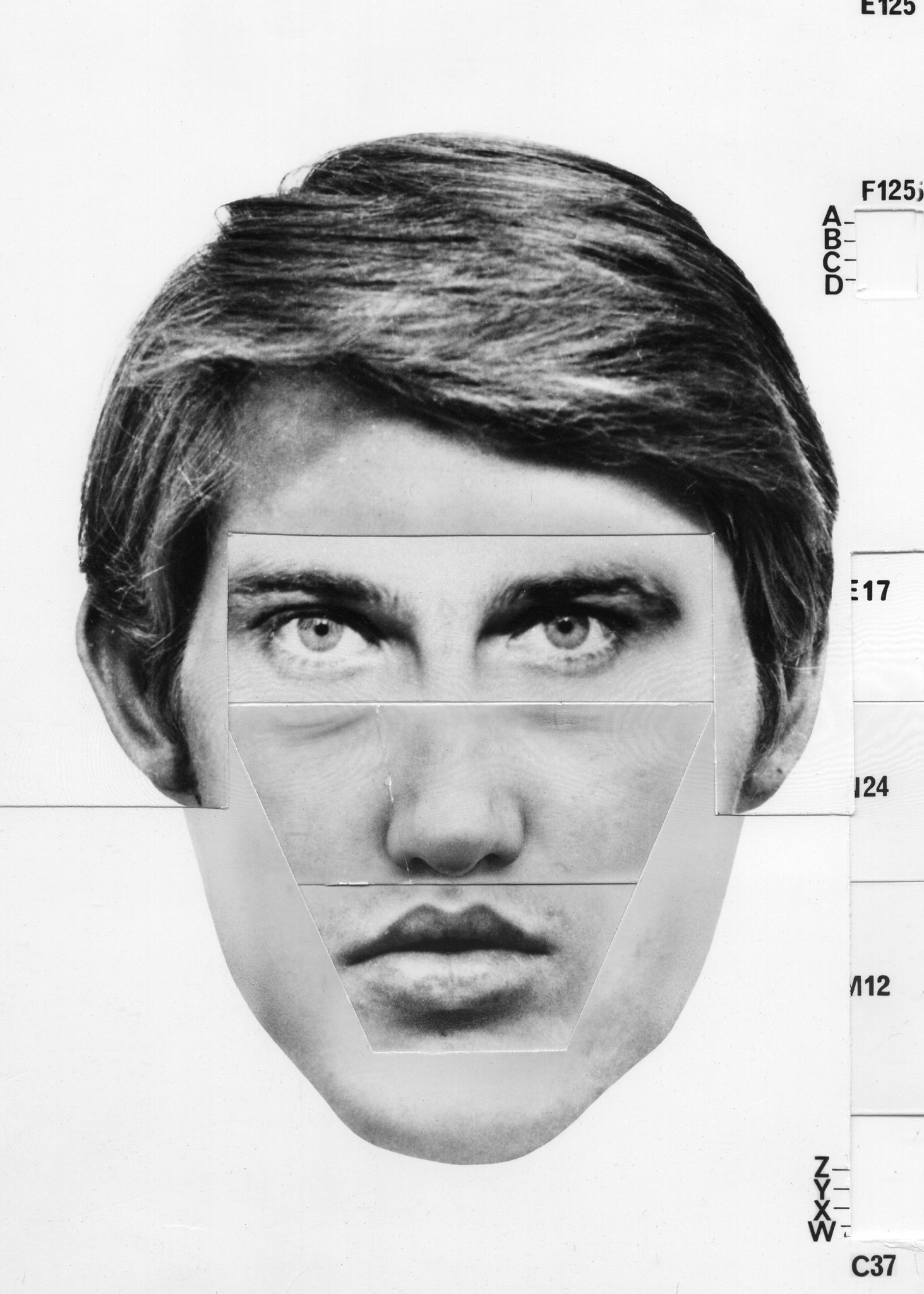 Фото - Stealing Elvis: 1463x2048 / 334 Кб