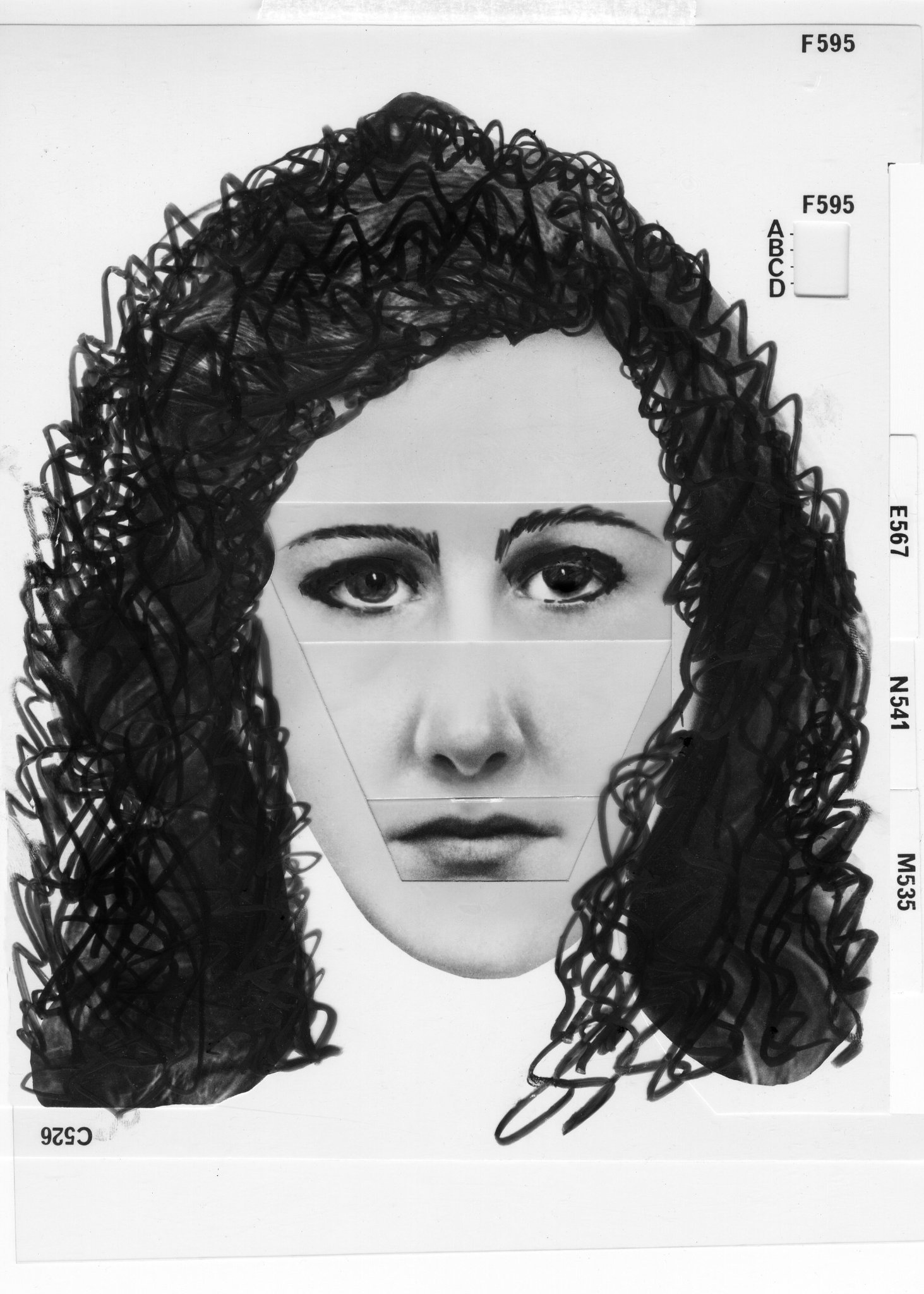 Фото - Stealing Elvis: 1463x2048 / 351 Кб