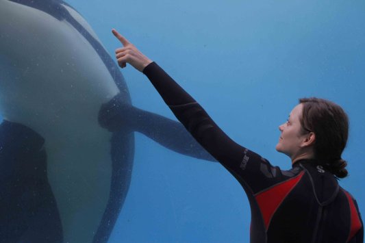 Фото - Ржавчина и кость: 533x355 / 19 Кб