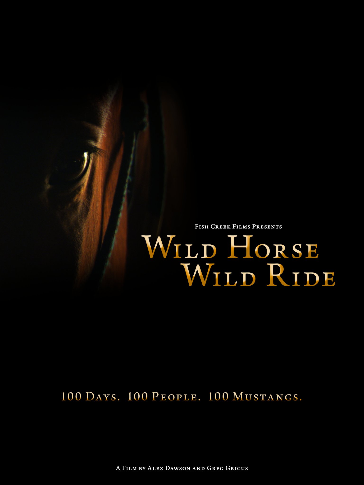 Фото - Wild Horse, Wild Ride: 1536x2048 / 106 Кб