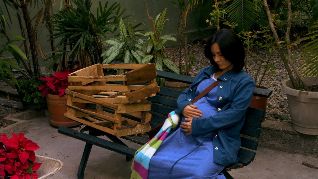 Фото - Patas Arriba: 1080x608 / 138 Кб