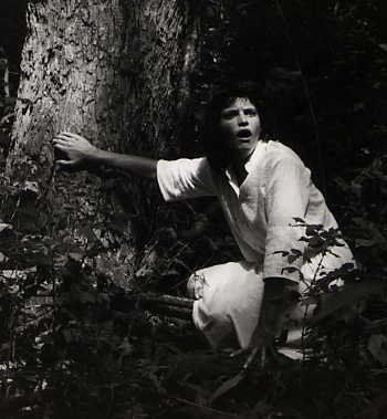 Фото - Raven's Nightmare: 350x379 / 23 Кб