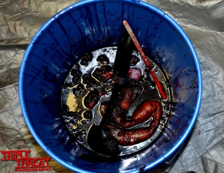 Фото - : 740x570 / 118 Кб