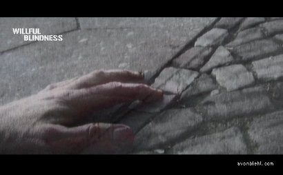 Фото - Willful Blindness: 410x254 / 17 Кб