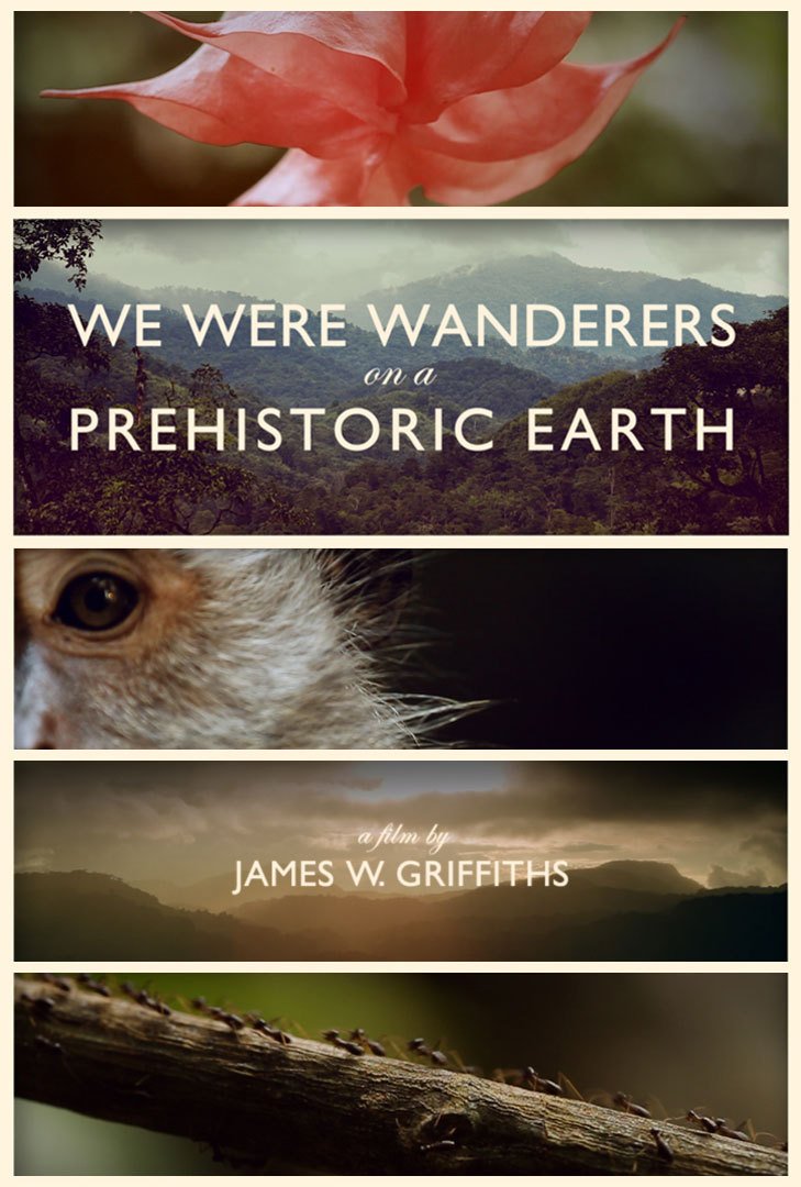 Фото - We Were Wanderers on a Prehistoric Earth: 729x1080 / 121 Кб
